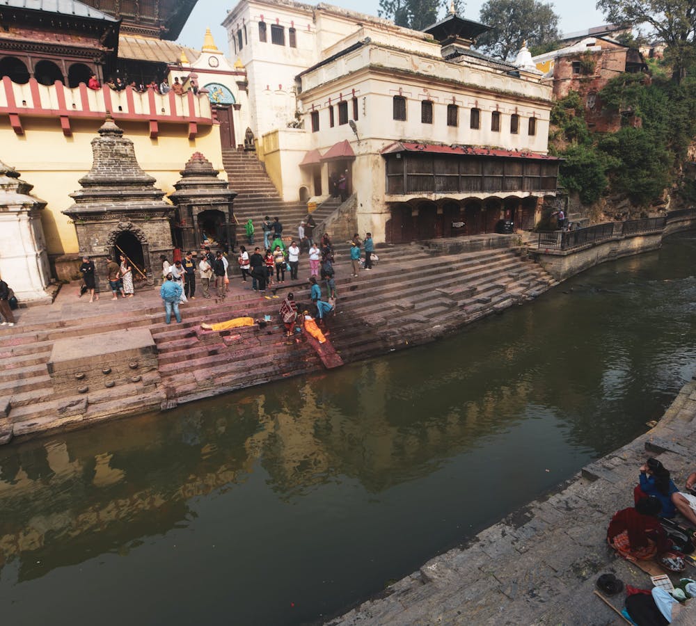 pexels-photo-11532061