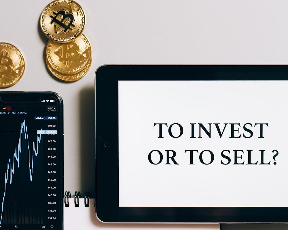 pexels-photo-8919504